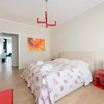 Friendly Rentals Costanza